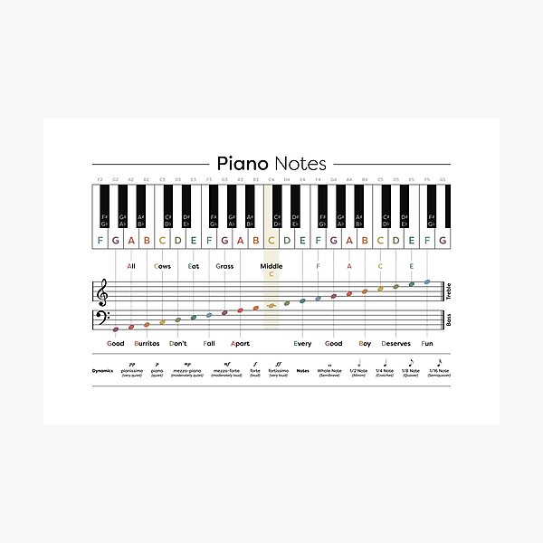 Piano Notes, Piano Cheat Sheet, Piano Grand Staff, Treble Clef and Bass  Clef, Music Notes, Music Notes Chart, Piano Mnemonic, Piano Class Poster  for Sale by DesignPapery
