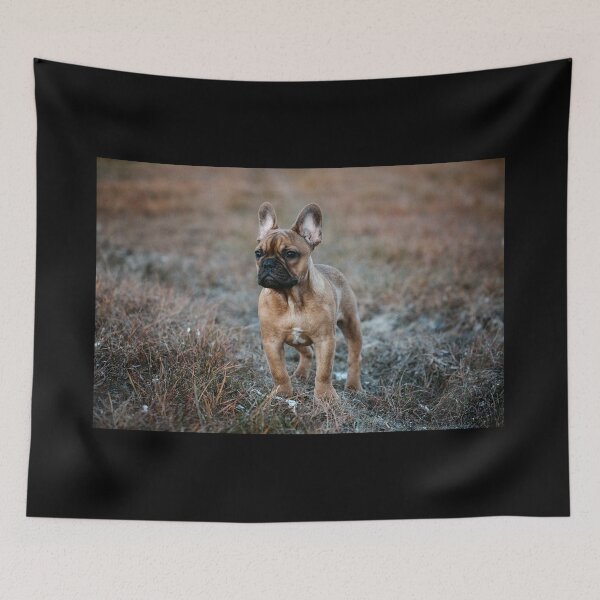 Item preview, french bulldog puppy designed and sold by Nebulae-Art.