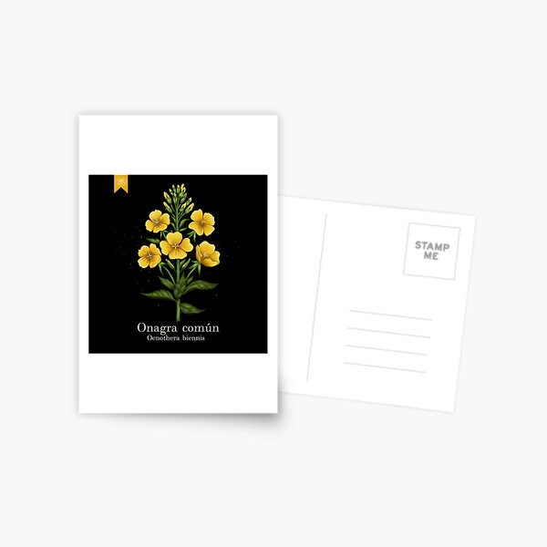 botanic flower Postcard