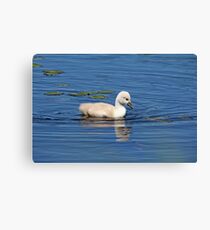 Precious Canvas Print