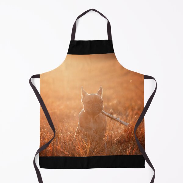 Item preview, golden hour french bulldog puppy designed and sold by Nebulae-Art.