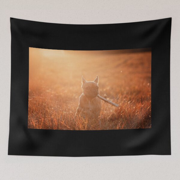 Item preview, golden hour french bulldog puppy designed and sold by Nebulae-Art.