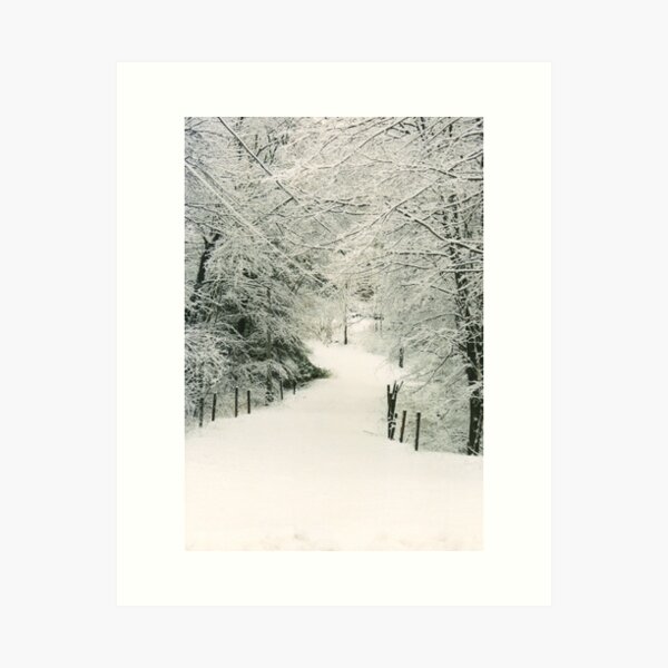 And through the woods . . . Art Print