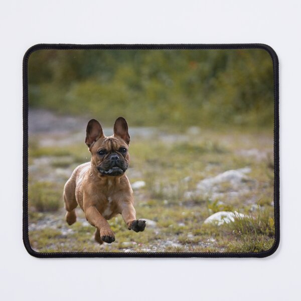 Item preview, french bulldog running designed and sold by Nebulae-Art.