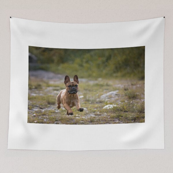 Item preview, french bulldog running designed and sold by Nebulae-Art.