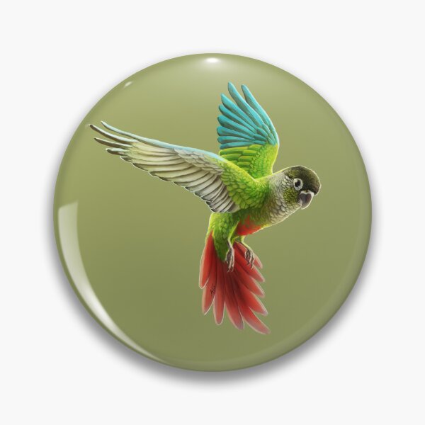 Item preview, Green Cheeked Conure designed and sold by triruntu.