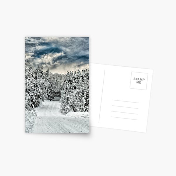 Neverending Winter Card Postcard