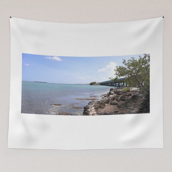 Item preview, Panoramic Florida cayo designed and sold by zumi.