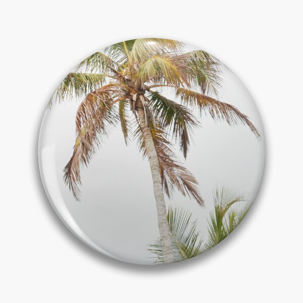Artikelvorschau, Florida Palmen # 1 #tropisch #wand #kunst entworfen und verkauft von Anita's & Bella's Art.