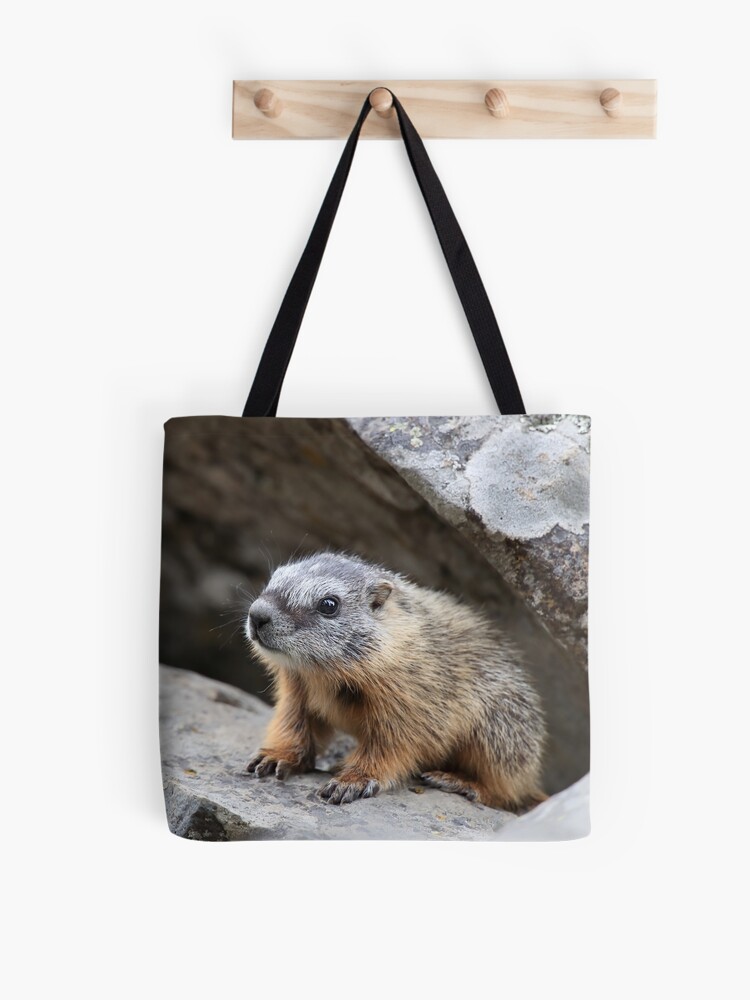 Marmot tote bag on sale