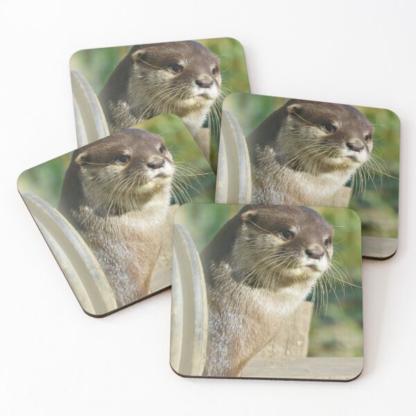 Item preview, Otterly Handsome designed and sold by dbrDurham.