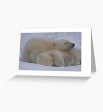 Cub Hug Greeting Card