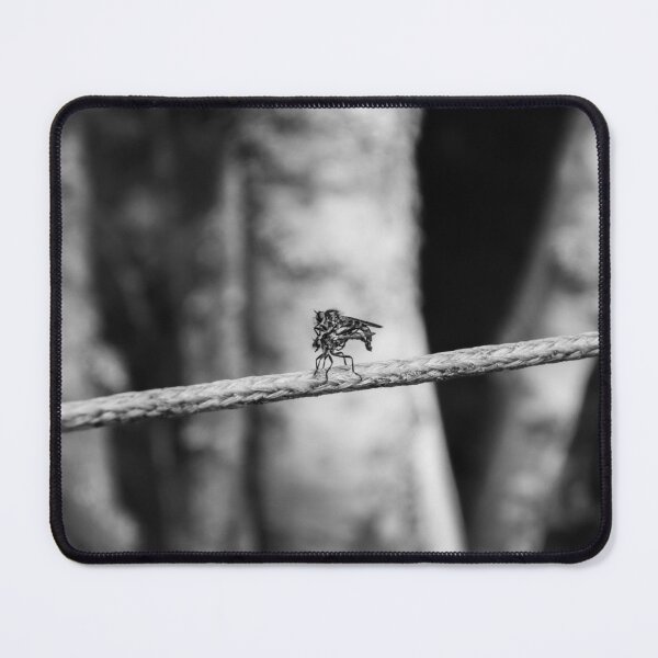Item preview, Docking designed and sold by Matti Ollikainen.