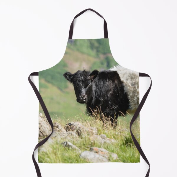 Item preview, Belted Galloway Cow  designed and sold by Jane Stanley Photography.