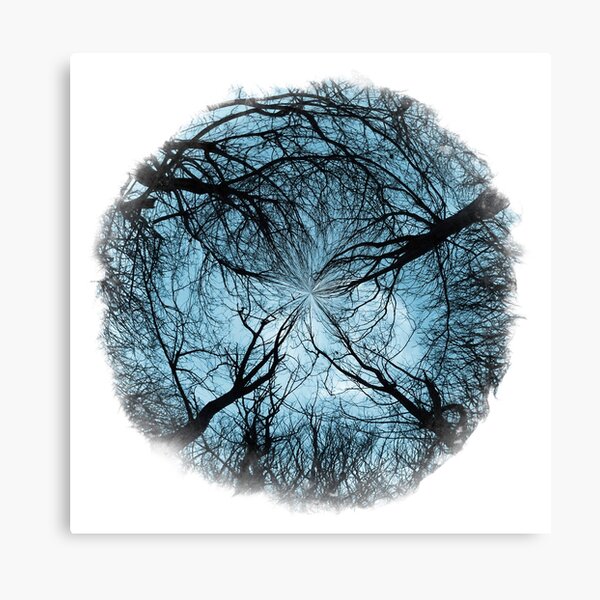 Winter World 13 Canvas Print