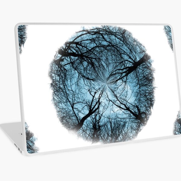 Winter World 13 Laptop Skin