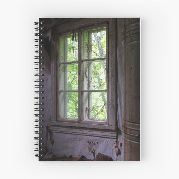 Item preview, 13.6.2017: Six Paned Window designed and sold by Petri Volanen.