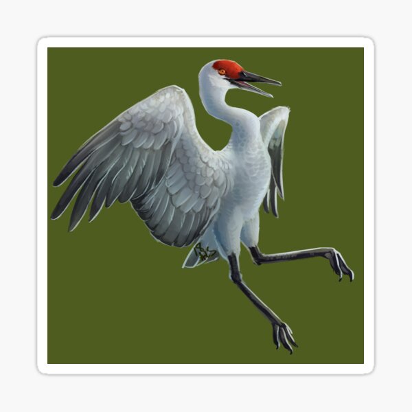 Item preview, Sandhill Crane designed and sold by triruntu.