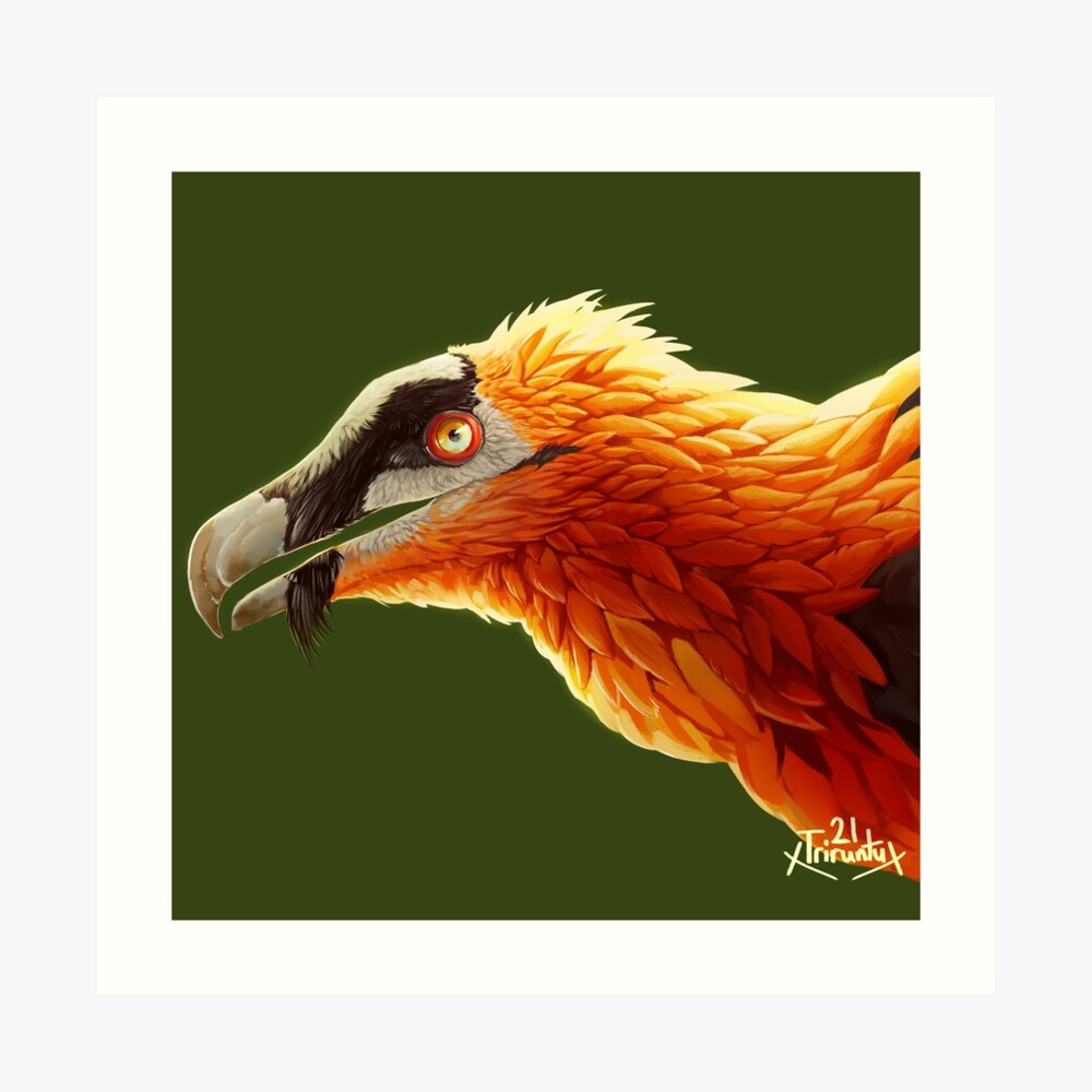 Bearded vulture made @slavetotheneedle Adam@adamfoxtattoo.com | Instagram