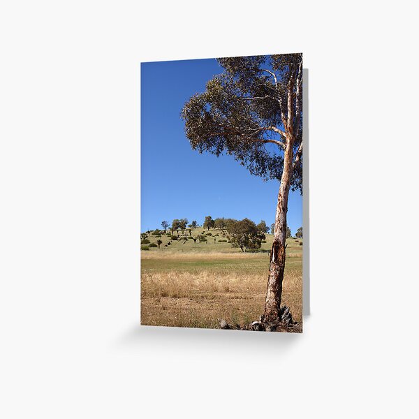 Country near Mogumber Greeting Card