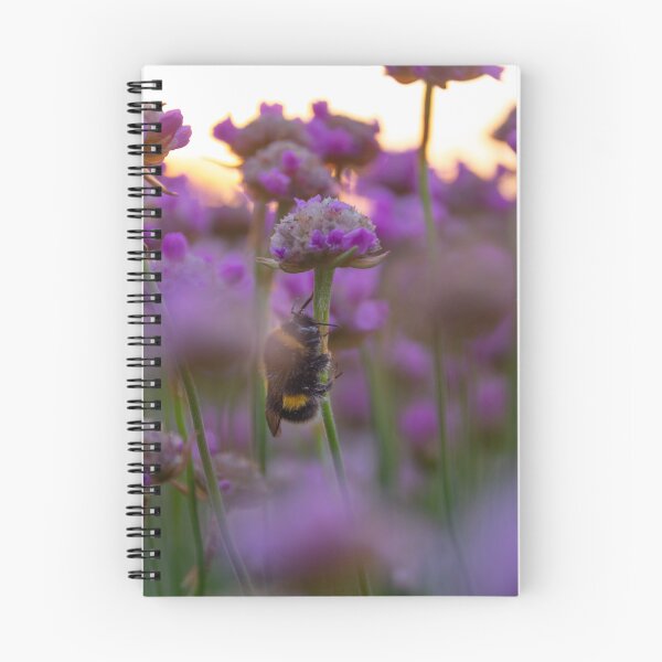 Item preview, Hilbre Sunset Bee designed and sold by neonlightphoto.