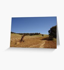 Wheatbelt scene Greeting Card