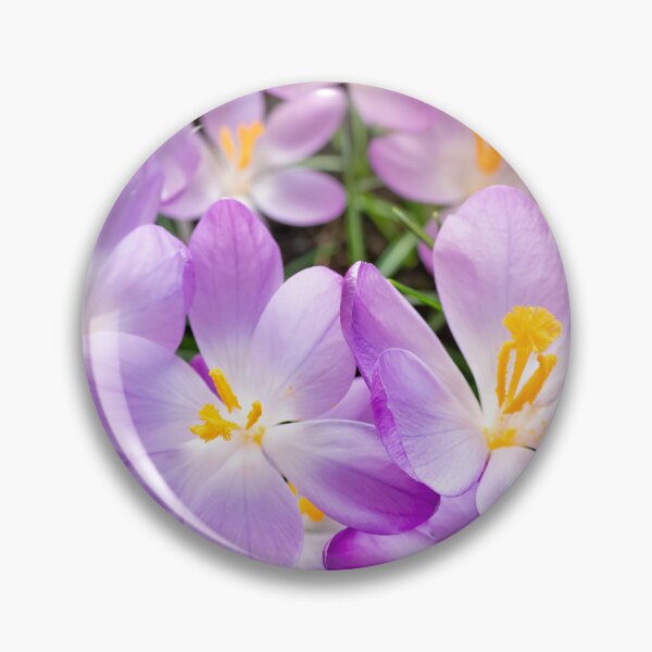Item preview, An array of garden crocuses purple and yellow designed and sold by CyaniRose.