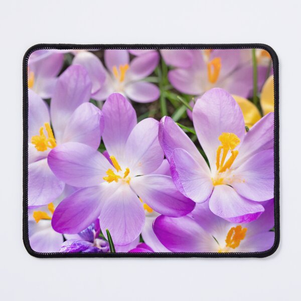 Item preview, An array of garden crocuses purple and yellow designed and sold by CyaniRose.