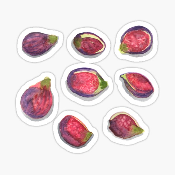 "Figs Fresh Fruit Watercolour" Sticker for Sale by RosalieReeves