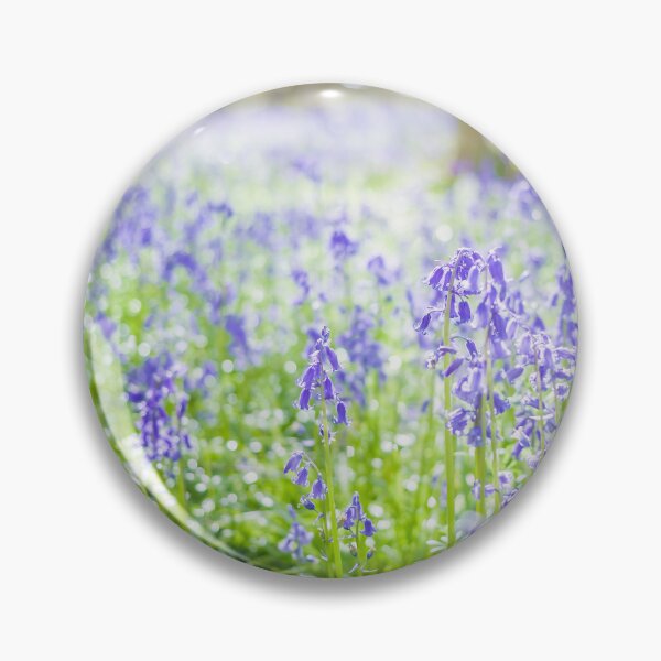 Item preview, Sunlight shining through the trees to highlight the carpet of bluebells designed and sold by CyaniRose.