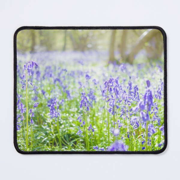 Item preview, Sunlight shining through the trees to highlight the carpet of bluebells designed and sold by CyaniRose.