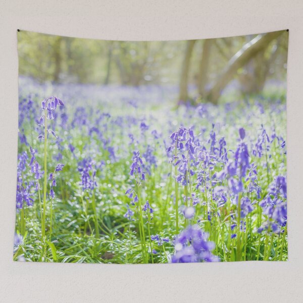 Item preview, Sunlight shining through the trees to highlight the carpet of bluebells designed and sold by CyaniRose.