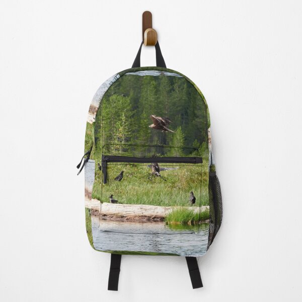 Item preview, Black kite and ravens designed and sold by Jouko Lehto Photography.