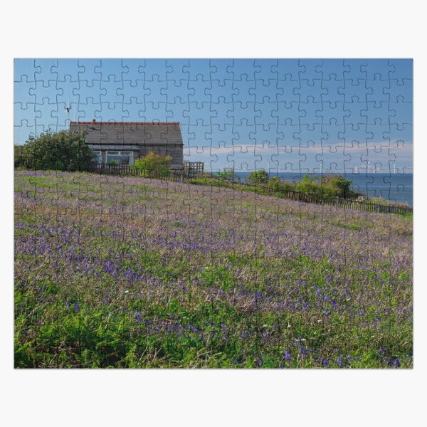 Hilbre Island Bluebell Meadow, Wirral Jigsaw Puzzle