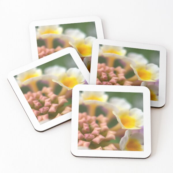 Item preview, Lantana designed and sold by Jason Tompkins.