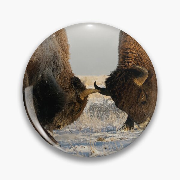 Item preview, The Fight of the Bison at Rocky Mountain Arsenal National Wildlife Refuge designed and sold by Rocky Mountain Artistry.