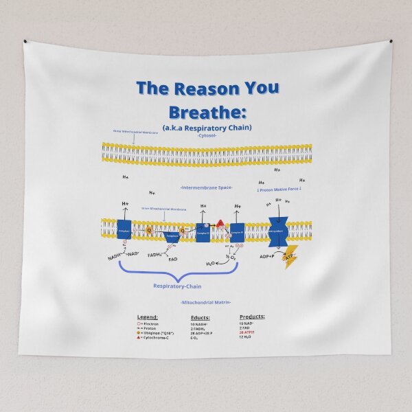 Item preview, The Reason we Breathe designed and sold by Biology-Hub.