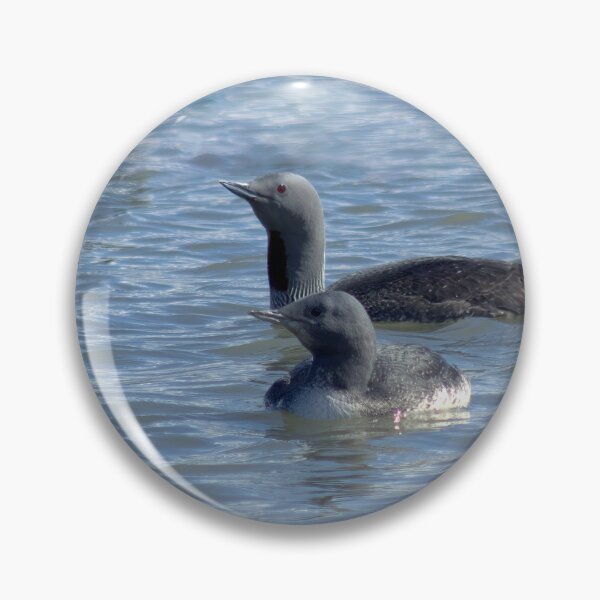 Item preview, Red-throat loons designed and sold by Vidarleikur.