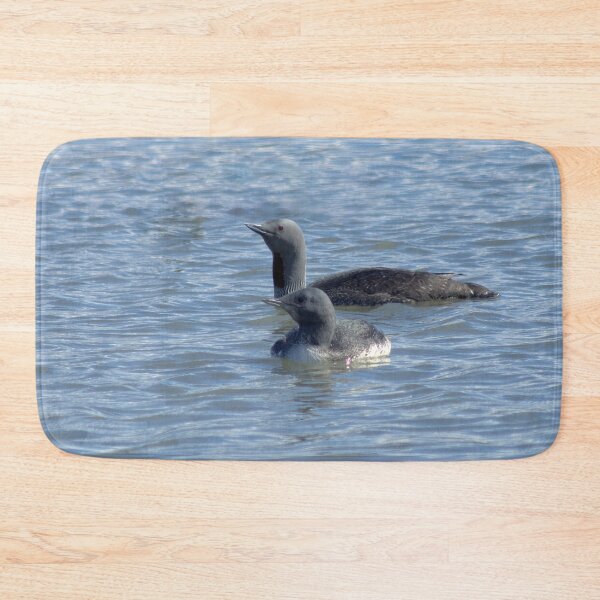 Item preview, Red-throat loons designed and sold by Vidarleikur.