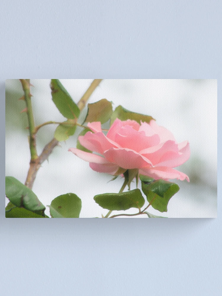 Imagen 1 de 3, Lienzo con la obra ROSA ROSADA, diseñada y vendida por Sandra Aguirre.