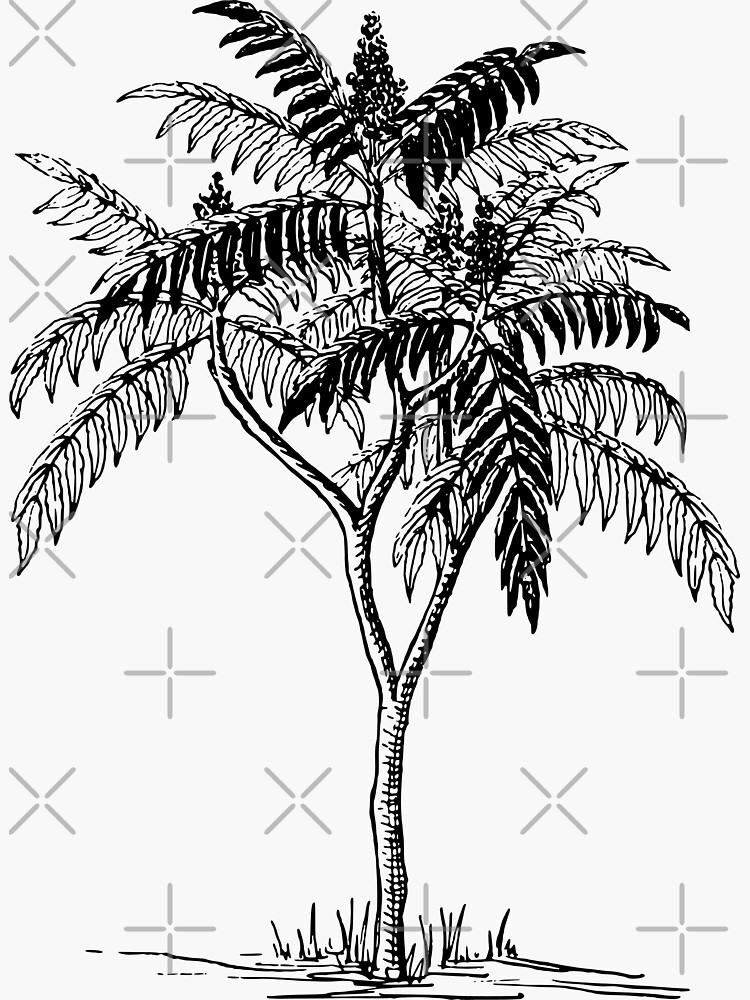 "Sumac tree" Sticker for Sale by hrcdesign Redbubble