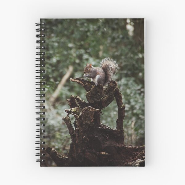 Item preview, Eastham Woods Squirrel designed and sold by neonlightphoto.