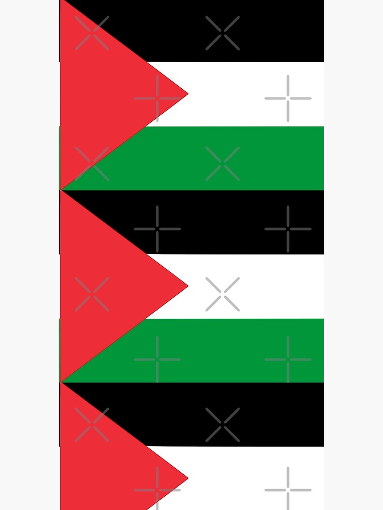 Flag of Palestine by mo91