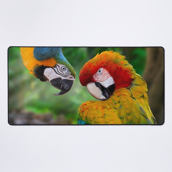 Item preview, Blue and Green Macaw and Scarlet Macaw cheeky couple. Beautiful Clever, Cheeky and Colorful Birds. Ara araraunas and Ara macao designed and sold by Orianah.