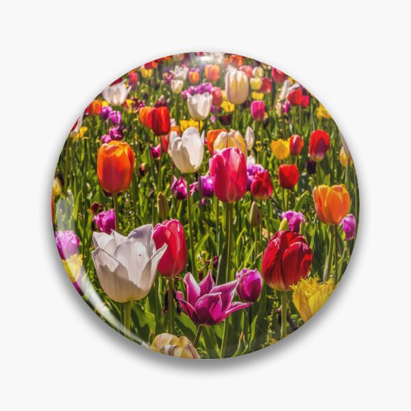 Item preview, Colourful Tulips at the Conservatory Gardens designed and sold by Steven Jodoin.