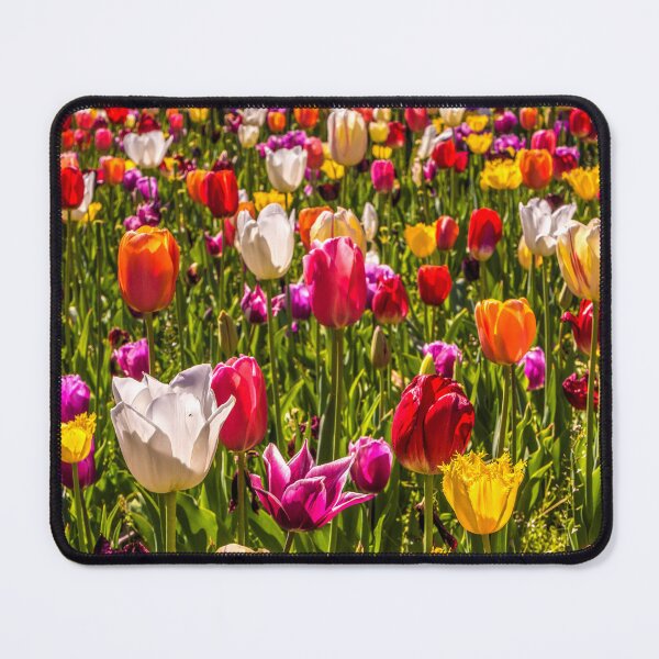 Item preview, Colourful Tulips at the Conservatory Gardens designed and sold by Steven Jodoin.