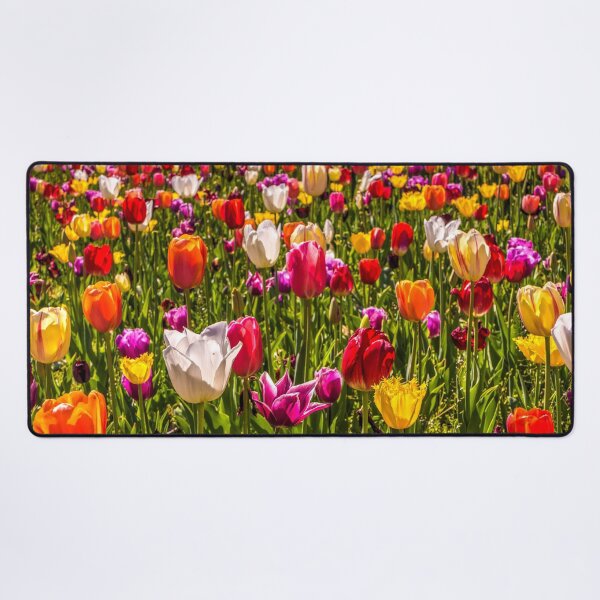 Item preview, Colourful Tulips at the Conservatory Gardens designed and sold by Steven Jodoin.