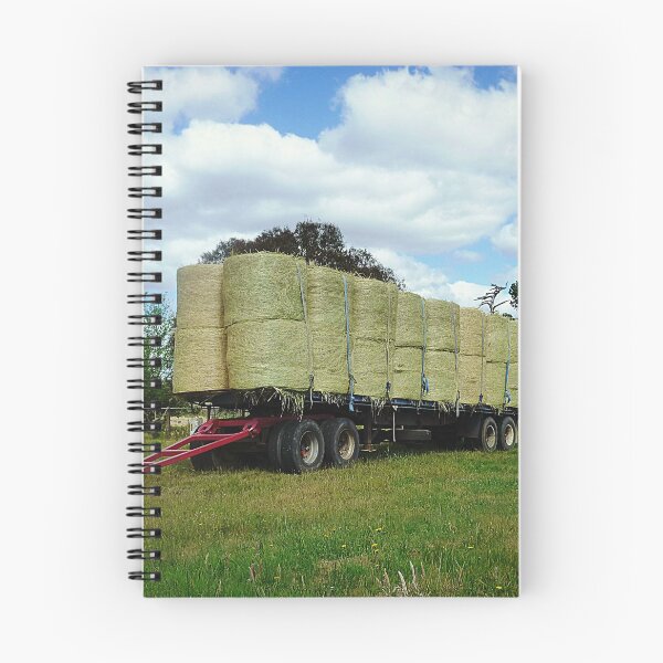 Item preview, Road from Maryborough,  Vic. Australia designed and sold by EdsMum.