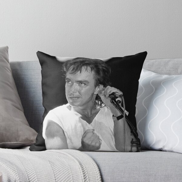 Item preview, David Cassidy - BW Photograph designed and sold by ConcertImages.