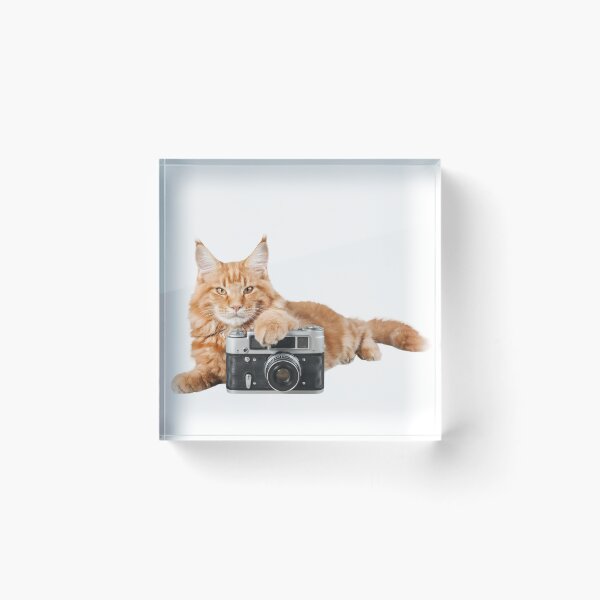 Item preview, Cat+camera  designed and sold by Stingchic.
